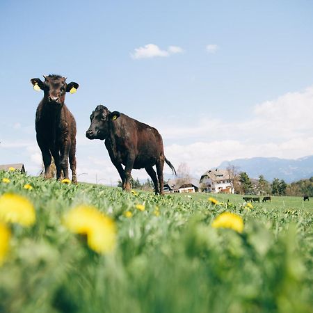 Alpin Farm Birke - Oberweidacherhof Collalbo Kültér fotó
