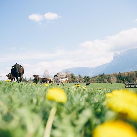 Alpin Farm Birke - Oberweidacherhof Collalbo Kültér fotó