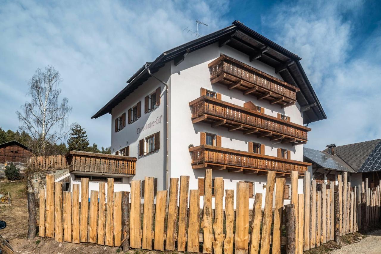 Alpin Farm Birke - Oberweidacherhof Collalbo Kültér fotó