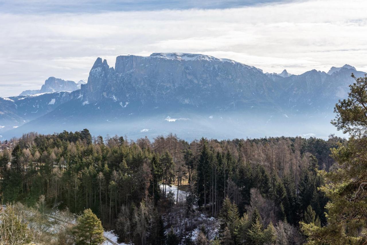 Alpin Farm Birke - Oberweidacherhof Collalbo Kültér fotó