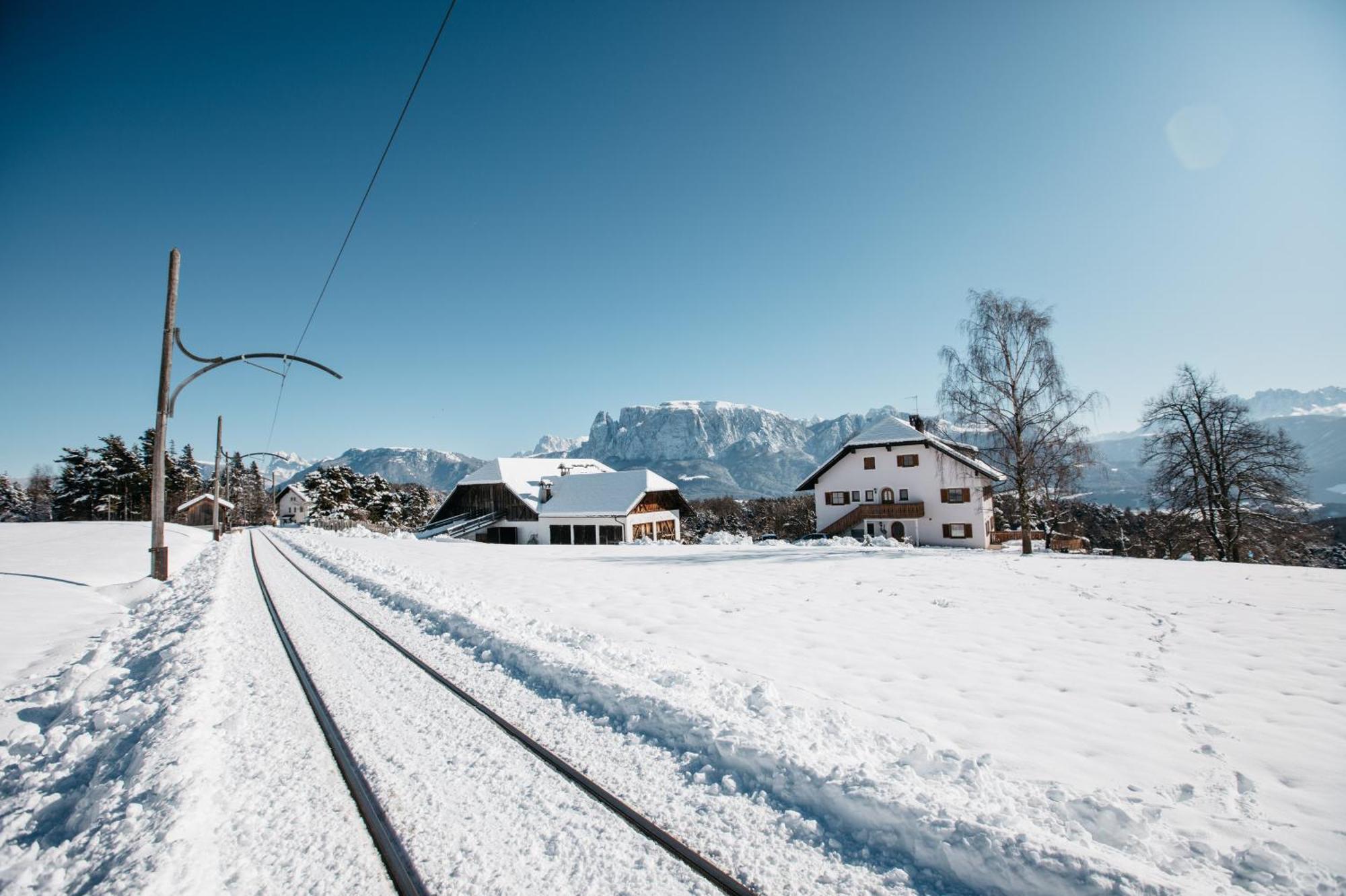 Alpin Farm Birke - Oberweidacherhof Collalbo Kültér fotó